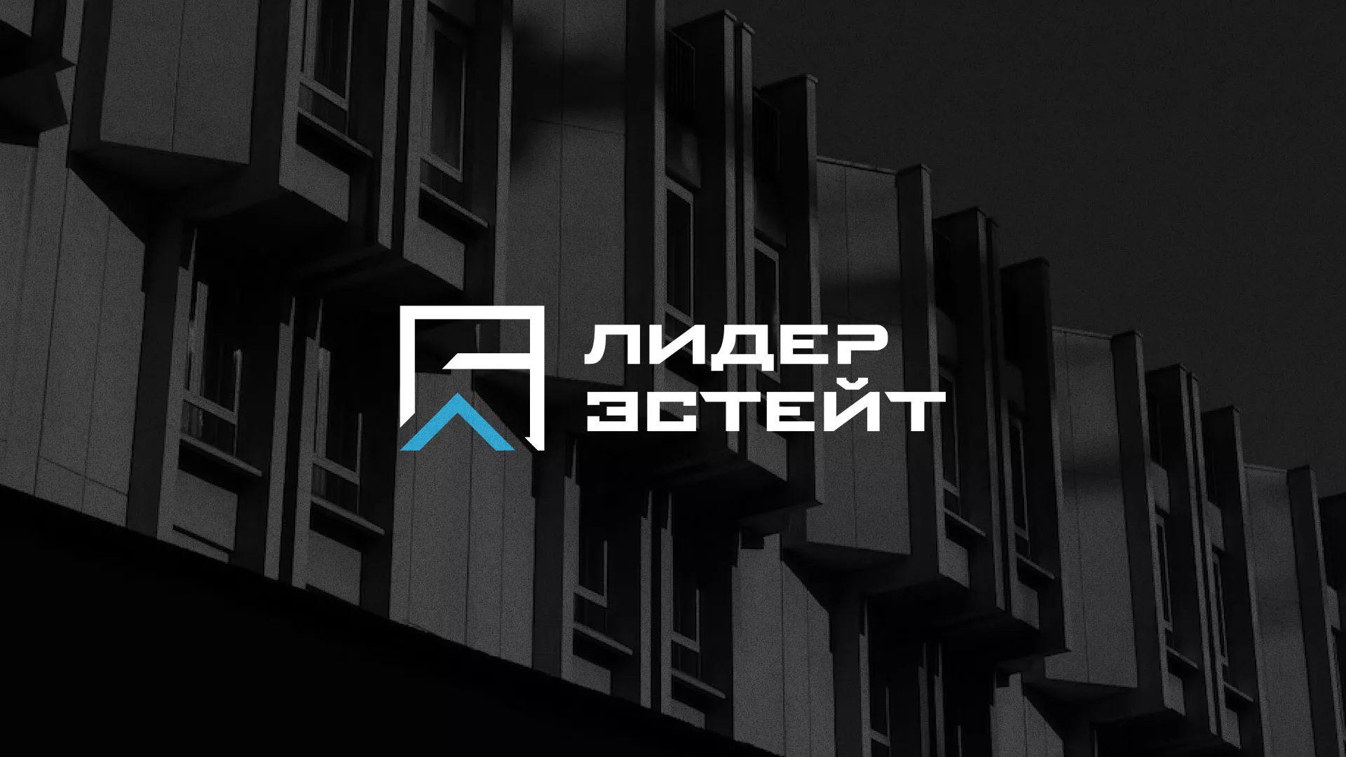 Разработка логотипа агентства недвижимости «Лидер Эстейт» в Батайске